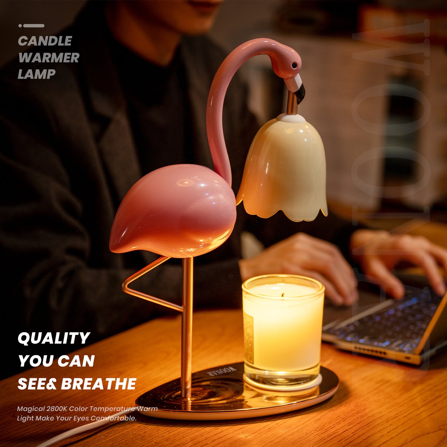 WOONAR 4L Distributor Croquettes Cat&Dogs , 2.4G WiFi Intelligent APP Regular Power Control 10S Vocal,10 Meals per Day